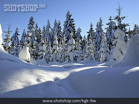 
                Winterlandschaft, Waldrand, Verschneit                   