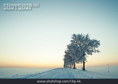 
                Winterlandschaft, Baumreihe, Landstraße                   