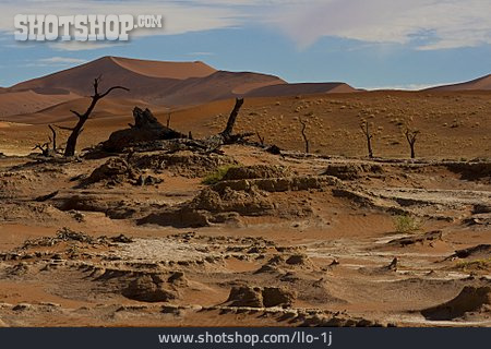 
                Wüste, Sossusvlei, Namibsand-düne                   