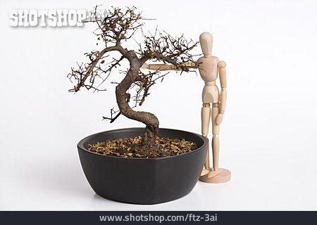 
                Miniatur, Gliederpuppe, Bonsaibaum                   