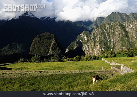 
                Anden, Machu Picchu                   