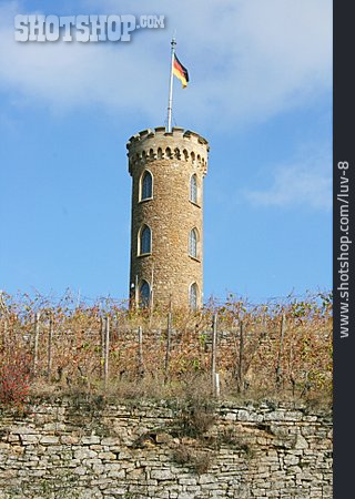 
                Weinberg, Burgturm, Bad Kreuznach                   