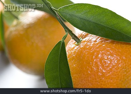 
                Mandarine                   