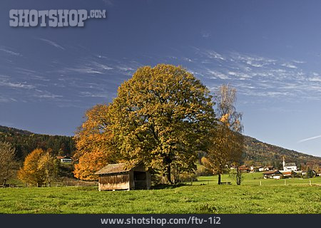 
                Landschaft, Herbst, Bayern                   