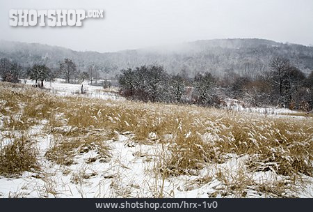 
                Winterlandschaft, Slowakei                   