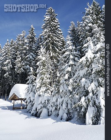 
                Winterlandschaft, Verschneit, Winterwald                   