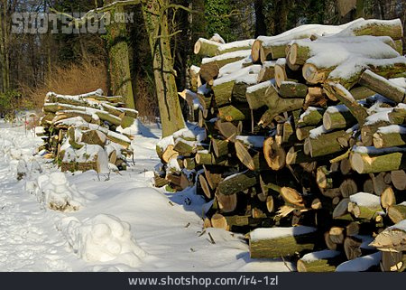 
                Holzstapel, Verschneit, Brennholz                   