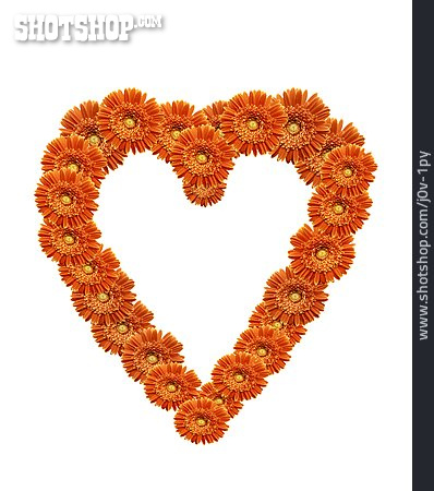 
                Blüte, Orange, Herz, Valentinstag                   