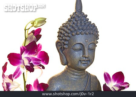 
                Buddha, Buddhafigur, Orchideenblüte                   