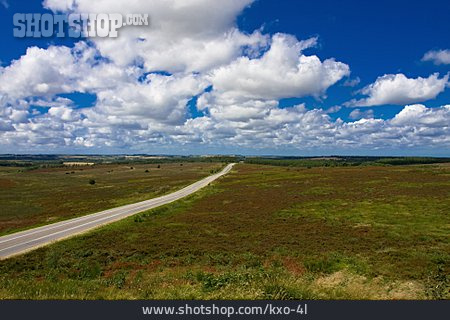 
                Landschaft, Heidelandschaft                   