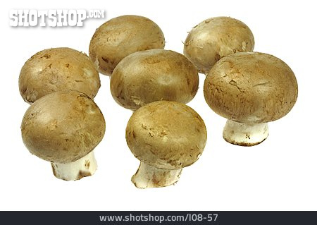 
                Pilz, Champignon                   