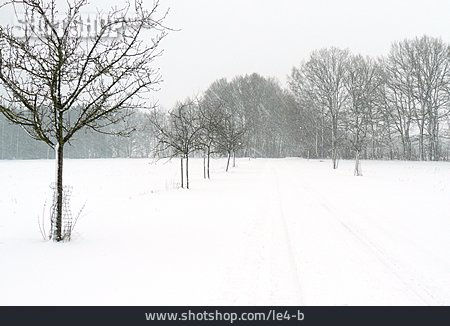 
                Landschaft, Verschneit, Schneien                   