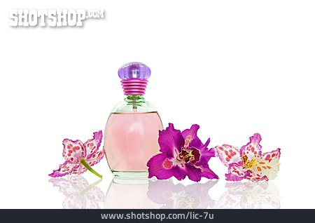 
                Duft, Flakon, Orchideenblüte                   