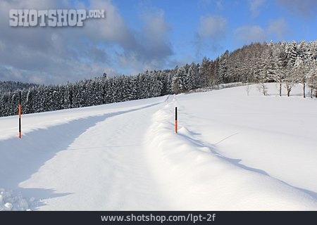
                Weg, Winterlandschaft, Bayerischer Wald                   