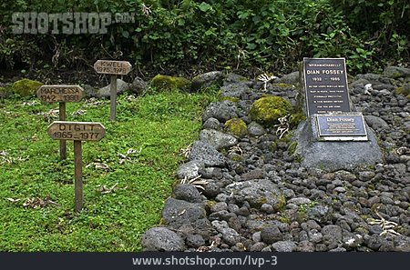 
                Dian Fossey, Gorillafriedhof, Karisoke Research Center                   