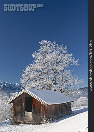 
                Verschneit, Holzhütte, Stall                   