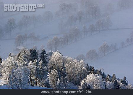 
                Winterlandschaft, Nebel, Winterlich                   