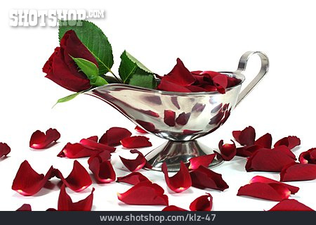 
                Rose, Dekoration, Rosenblatt, Rote Rose                   