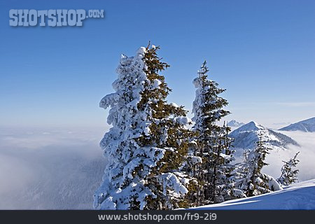 
                Schneelandschaft, Alpin                   