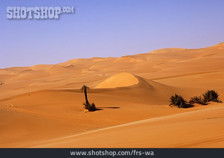 
                Wüste, Sahara, Sandwüste                   