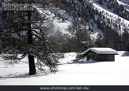 
                Verschneit, Berghütte                   