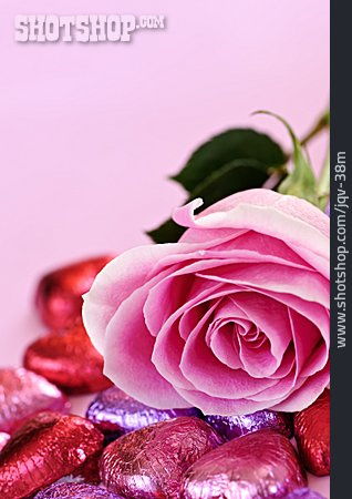 
                Liebe, Valentinstag, Rosenblüte, Schokoladenherz                   