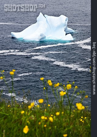 
                Eisberg, Atlantik                   