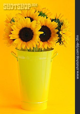 
                Sonnenblume, Blumenstrauß                   