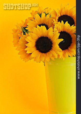 
                Sonnenblume, Blumenstrauß, Flora                   