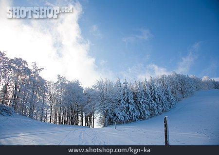 
                Winter Landscape                   