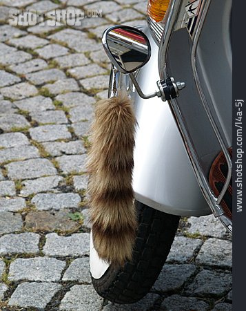 
                Fuchsschwanz, Moped                   