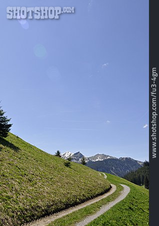 
                Weg, Feldweg, Tirol                   