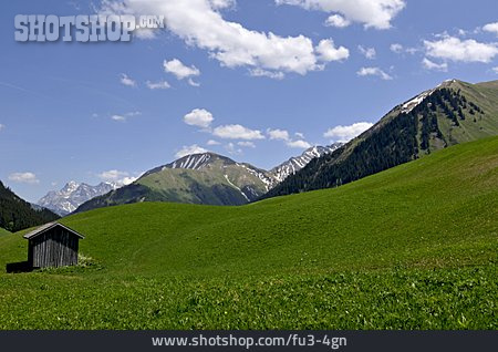 
                Tirol, Berglandschaft, Alm                   