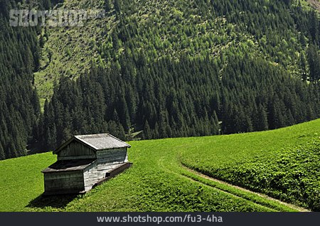 
                Tirol, Berglandschaft, Holzhütte                   