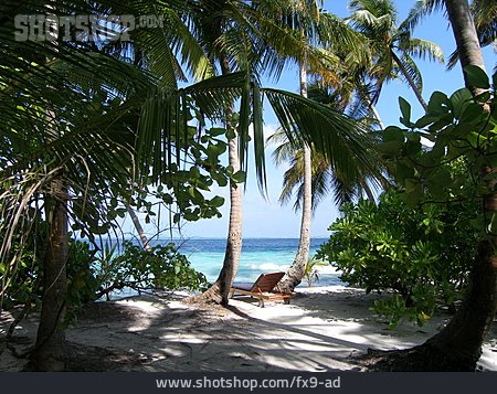 
                Palme, Schattig, Strandliege, Malediven                   