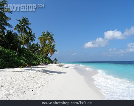 
                Meer, Palme, Sandstrand, Malediven                   