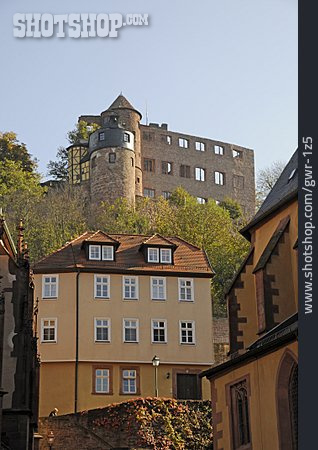 
                Burgruine, Burg Wertheim                   