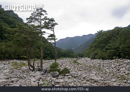 
                Landschaft, Flussbett, Seoraksan                   