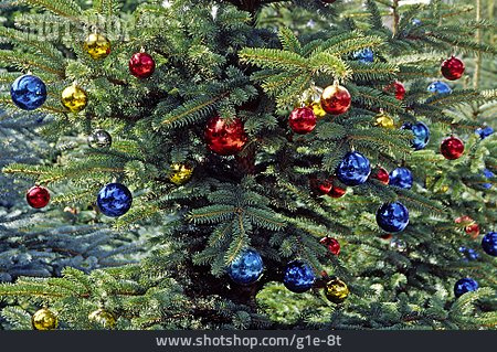 
                Tannenbaum, Weihnachtskugel                   