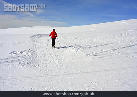 
                Skifahrerin                   