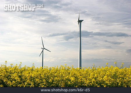 
                Rapsfeld, Windenergie, Windrad                   