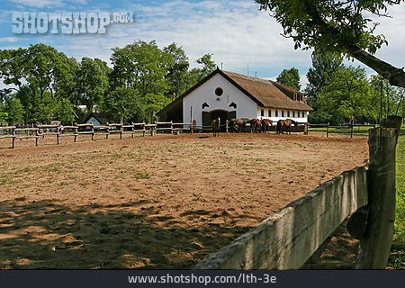 
                Pferdekoppel, Pferdestall, Gestüt, Reiterhof                   