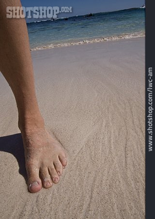 
                Sand, Barfuß, Fuß                   