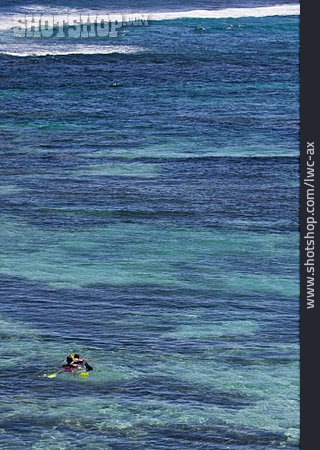 
                Schnorcheln, Schwimmen, Rottnest Island                   