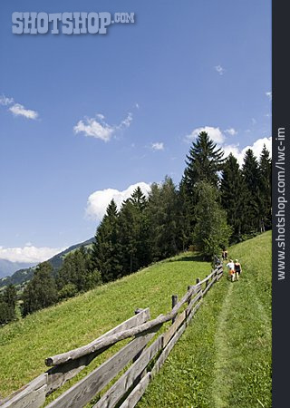 
                Südtirol, Hang, Holzzaun, Bergwandern                   