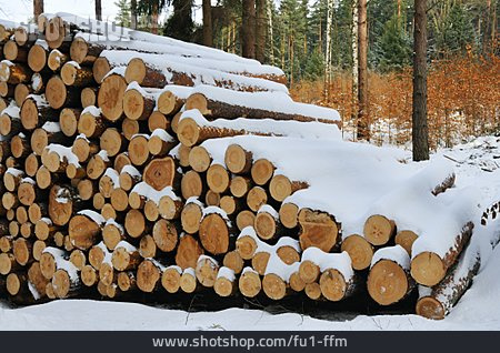 
                Holzstapel, Forstwirtschaft, Verschneit                   
