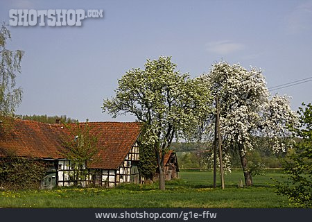 
                Landwirtschaft, Bauernhof, Osnabrücker Land                   