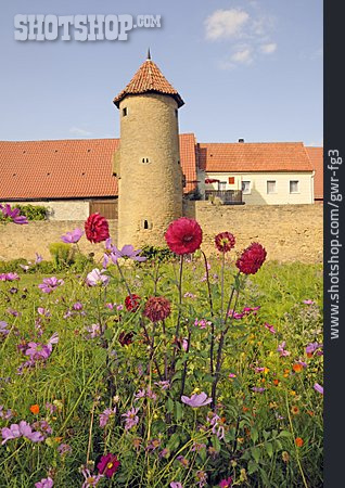 
                Blumenwiese, Stadtmauer, Wehrturm, Mainbernheim                   