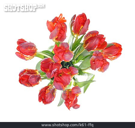 
                Blumenstrauß, Tulpenstrauß, Papageientulpe                   