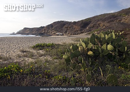 
                Pazifikküste, Oaxaca                   